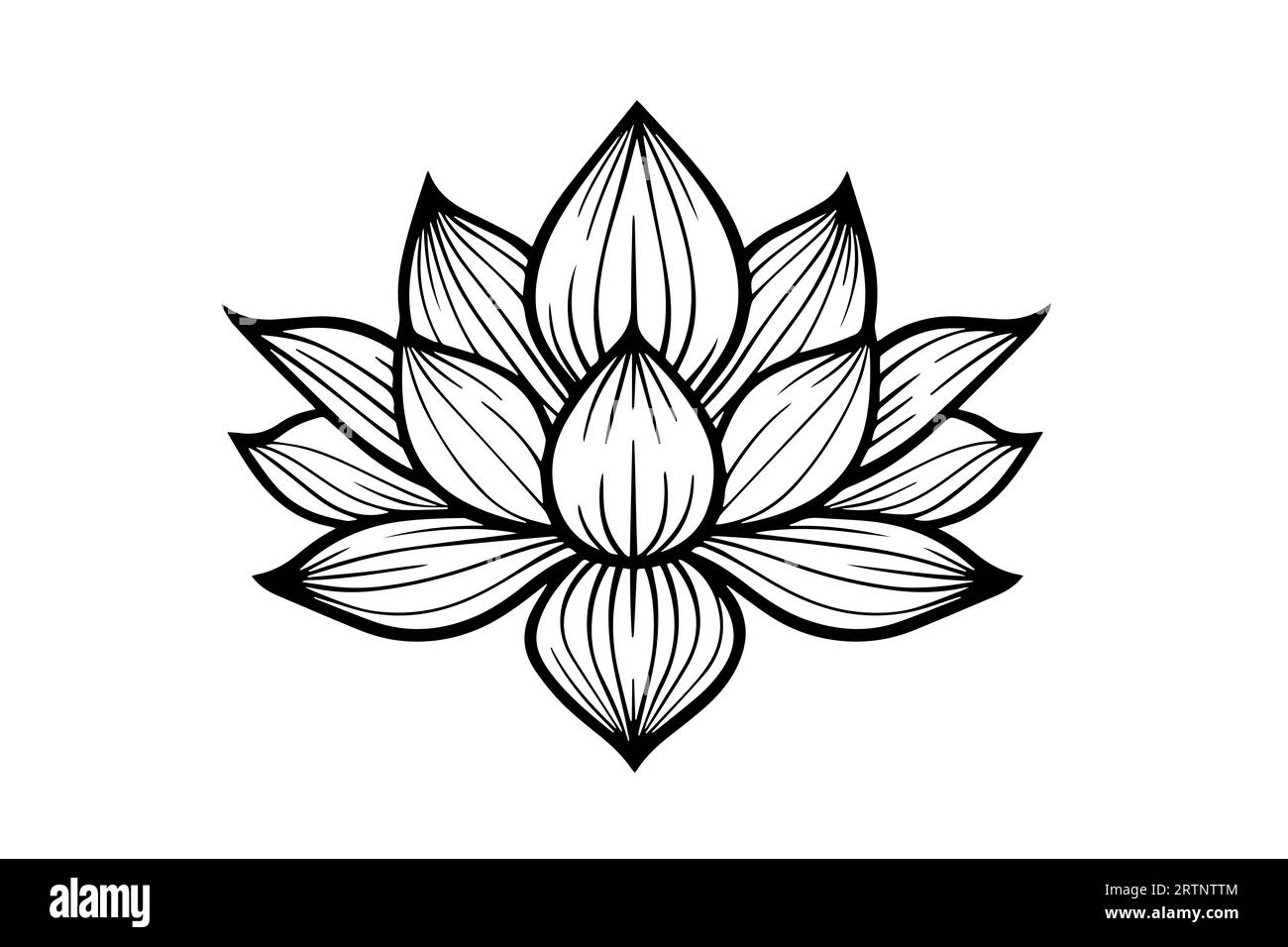 Eine Lotoslilie Wasserblume in einer Vintage Holzschnitt Gravur Stil Vektor Illustration. Stock Vektor