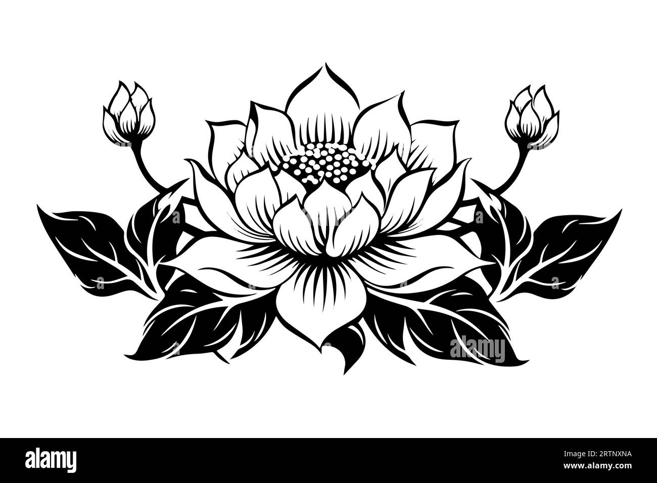 Eine Lotoslilie Wasserblume in einer Vintage Holzschnitt Gravur Stil Vektor Illustration. Stock Vektor