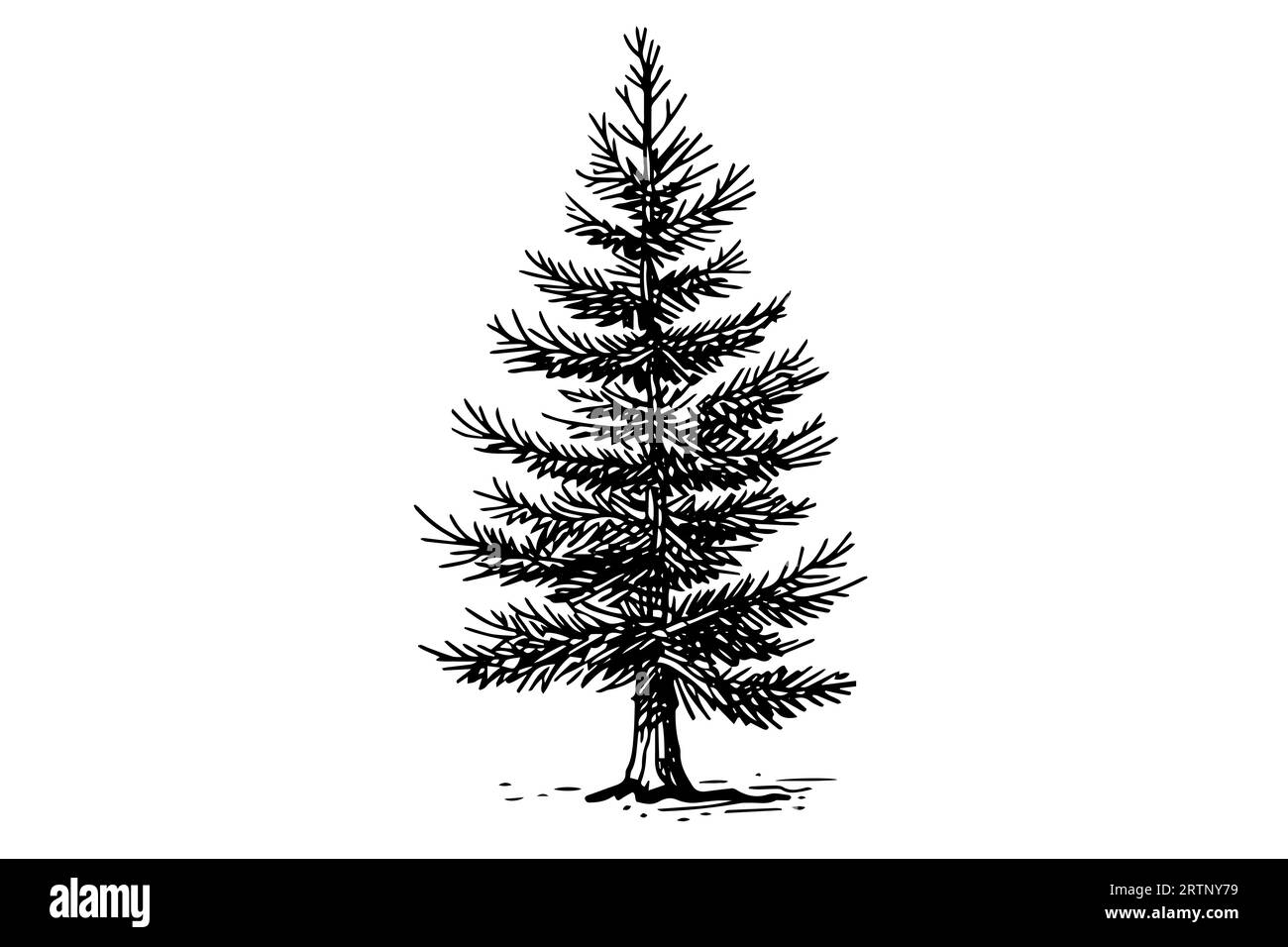Weihnachtsbaum-Vektor-Illustration. Handgezeichnete Tintenskizze. Gravurbild. Stock Vektor