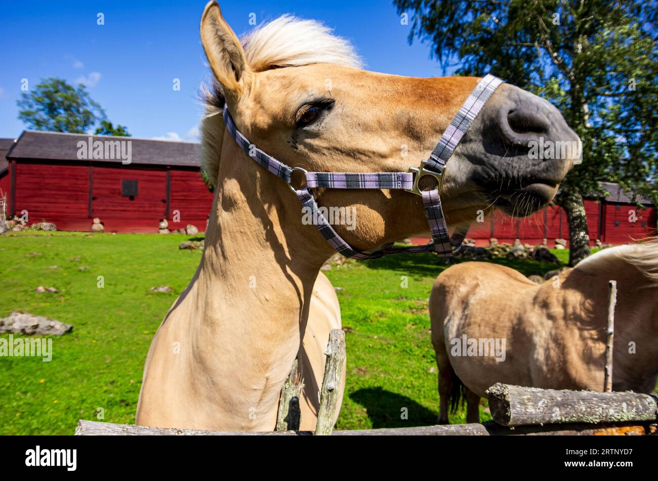 Stensjö by ist ein Dorf und Kulturreservat in Smaland bei Oskarshamn, Kalmar län, Schweden, das im frühen 19. Jahrhundert erhalten wurde. Stockfoto