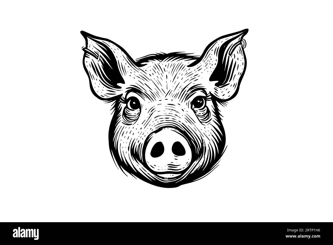 Niedliche Schwein- oder Schweinekopf-Gravur-Stil Vektor-Illustration. Stock Vektor