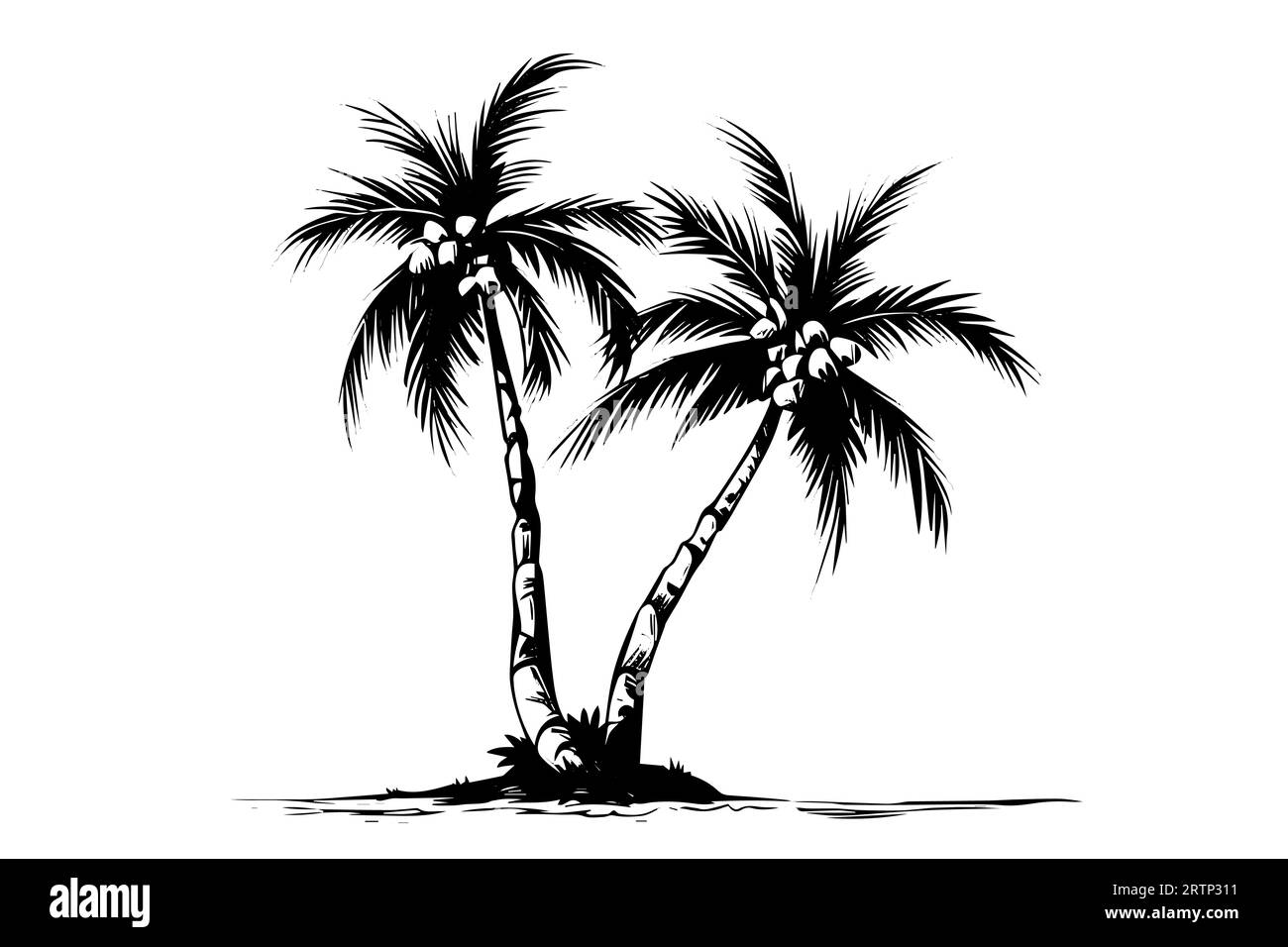 Palme mit handgezeichneter Kokosnuss-Skizze. Vektor-Illustration der Tintensilhouette. Stock Vektor