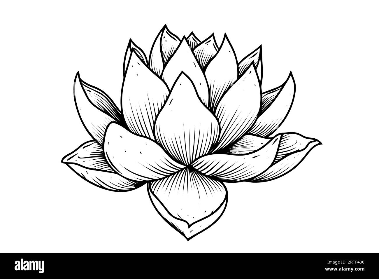 Eine Lotoslilie Wasserblume in einer Vintage Holzschnitt Gravur Stil Vektor Illustration. Stock Vektor