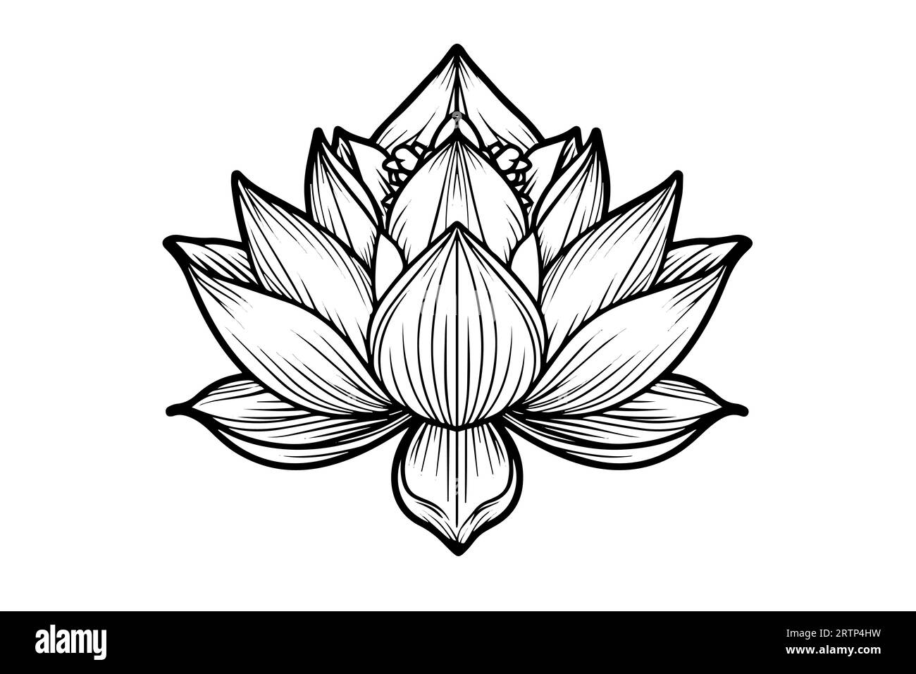 Eine Lotoslilie Wasserblume in einer Vintage Holzschnitt Gravur Stil Vektor Illustration. Stock Vektor