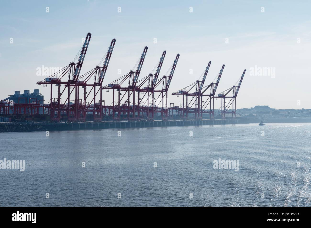 Eine Linie von Schiff zu Land Containerkräne am Peel Ports Dock in Liverpool UK Stockfoto