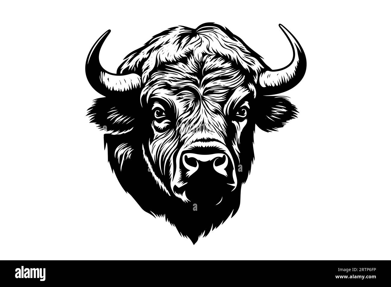 Von Hand gezeichneter Büffel. Vektorillustration des Stierstich-Stils. Stock Vektor