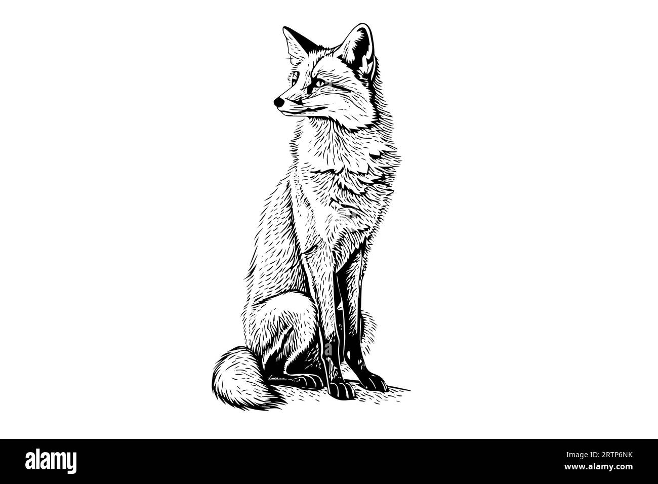 Fox Sitting Hand gezeichnete Tuschezeichnung. Gravur Vektorillustration im Vintage-Stil. Stock Vektor