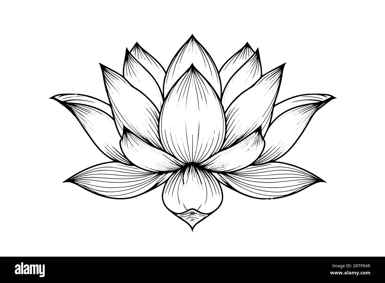 Eine Lotoslilie Wasserblume in einer Vintage Holzschnitt Gravur Stil Vektor Illustration. Stock Vektor