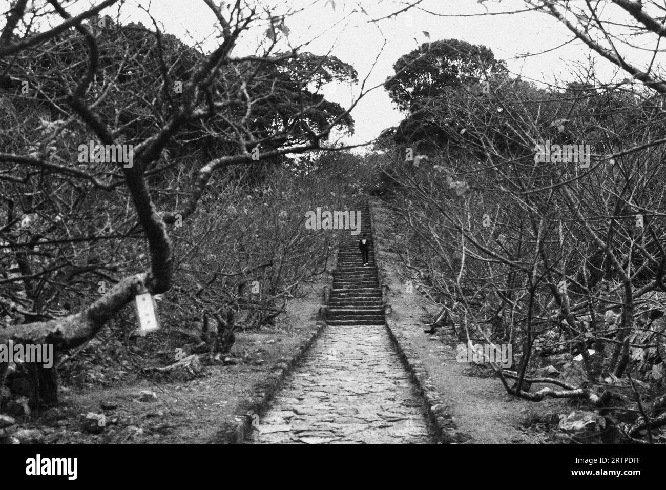 Auch wenn ich durch das Tal des Schattens des Todes gehe, fürchte ich kein Übel; denn du bist bei mir; dein Stab und dein Stab trösten mich. Stockfoto