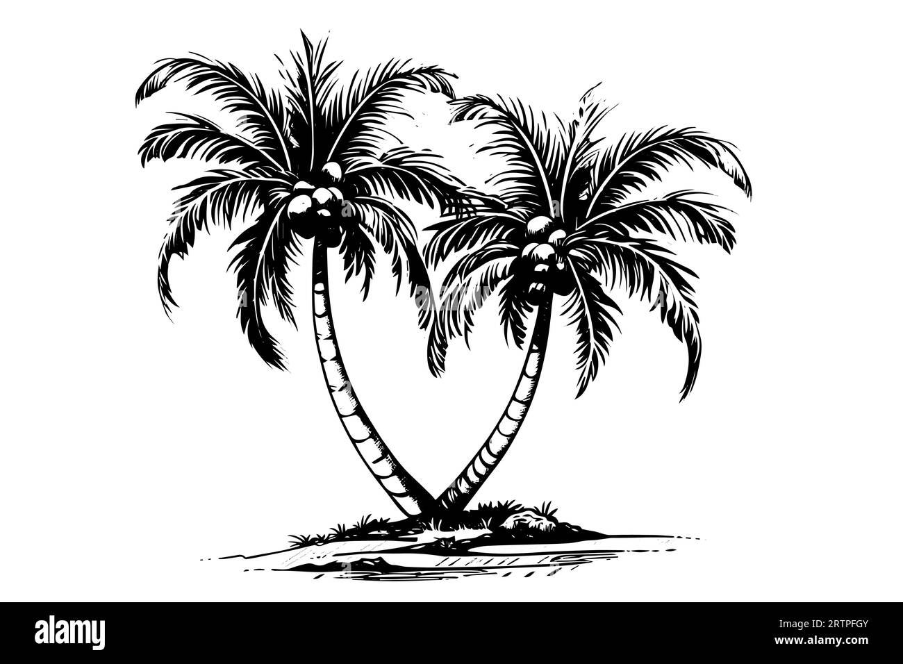 Palme mit handgezeichneter Kokosnuss-Skizze. Vektor-Illustration der Tintensilhouette. Stock Vektor