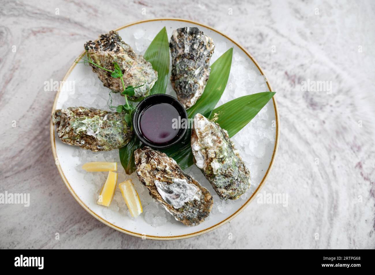 Teller mit Austern auf Eis mit Zitrone und Sauce auf einem Marmortisch Stockfoto