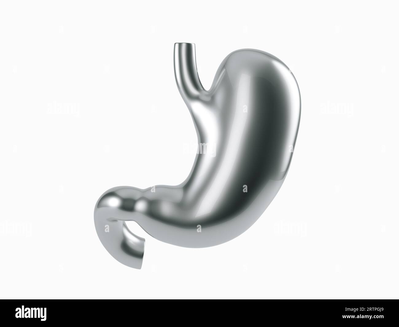 3D-Illustration des menschlichen Magens aus Metall isoliert auf weißem Hintergrund Stockfoto