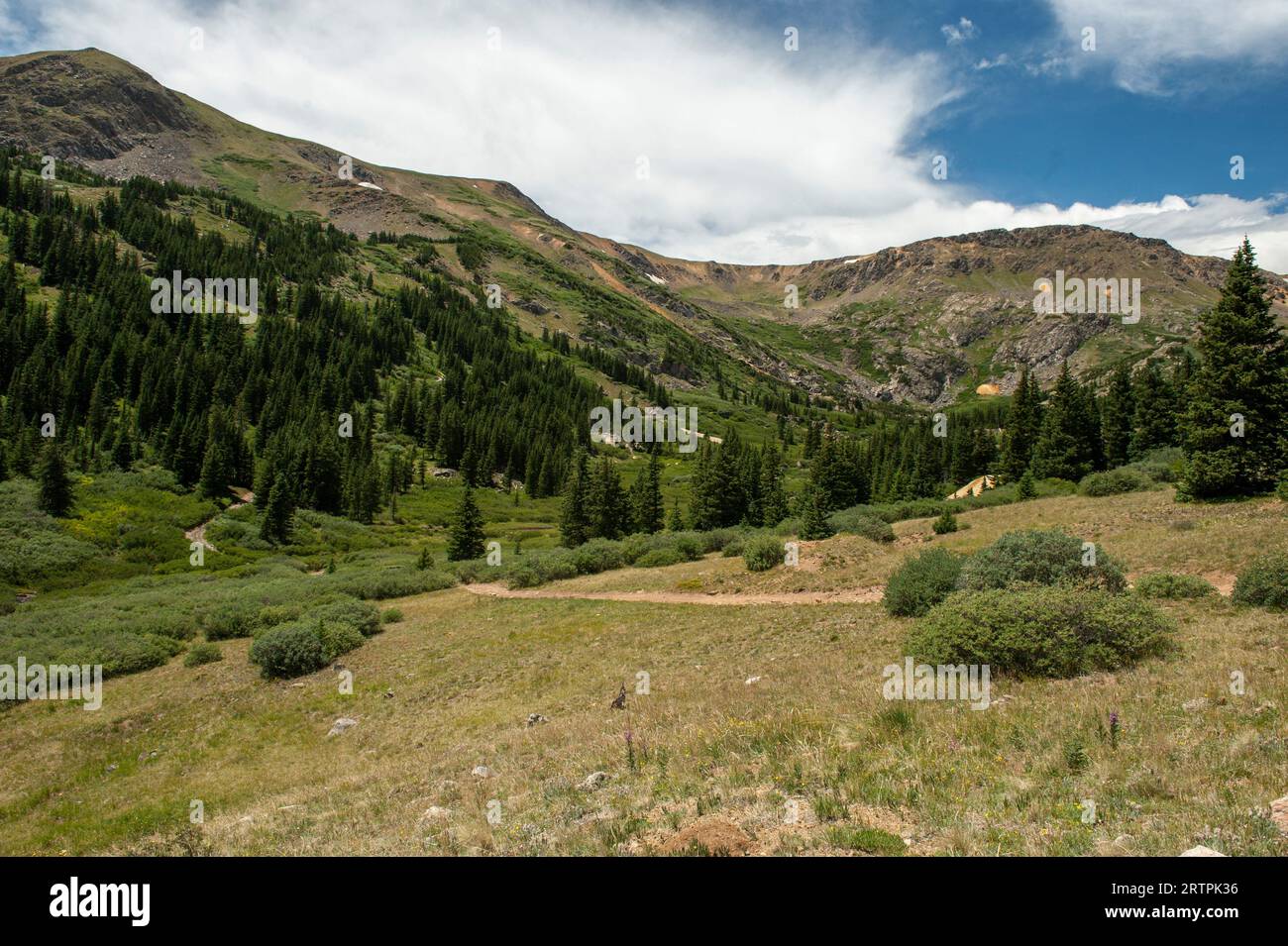 Die Spitze des Hall Valley, Colorado und die Quelle des North Fork der South Platte. Die kontinentale Wasserscheide verläuft über die Spitze des Hügels Stockfoto