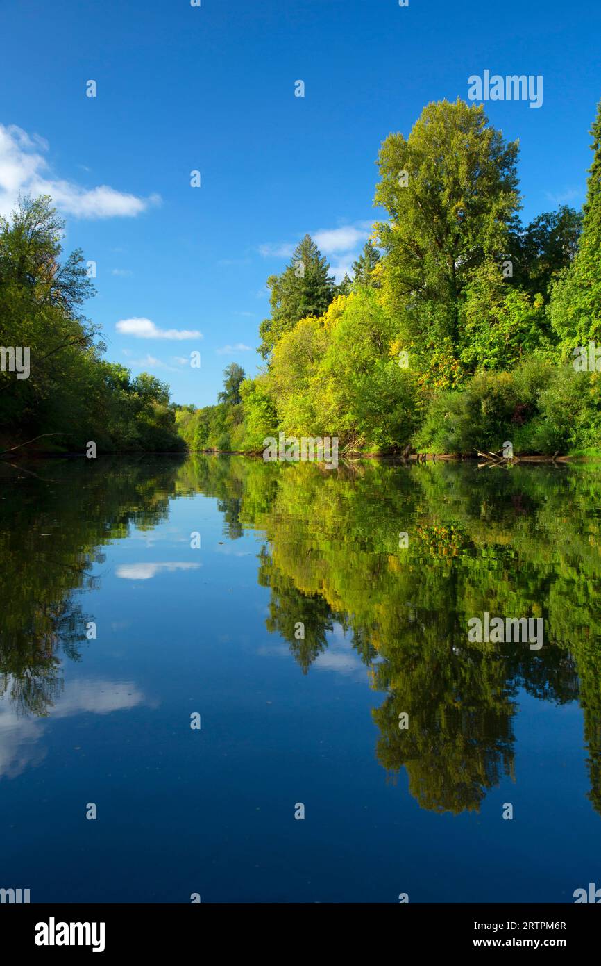 Yamhill River, Dayton Landung County Park, Yamhill County, Oregon Stockfoto