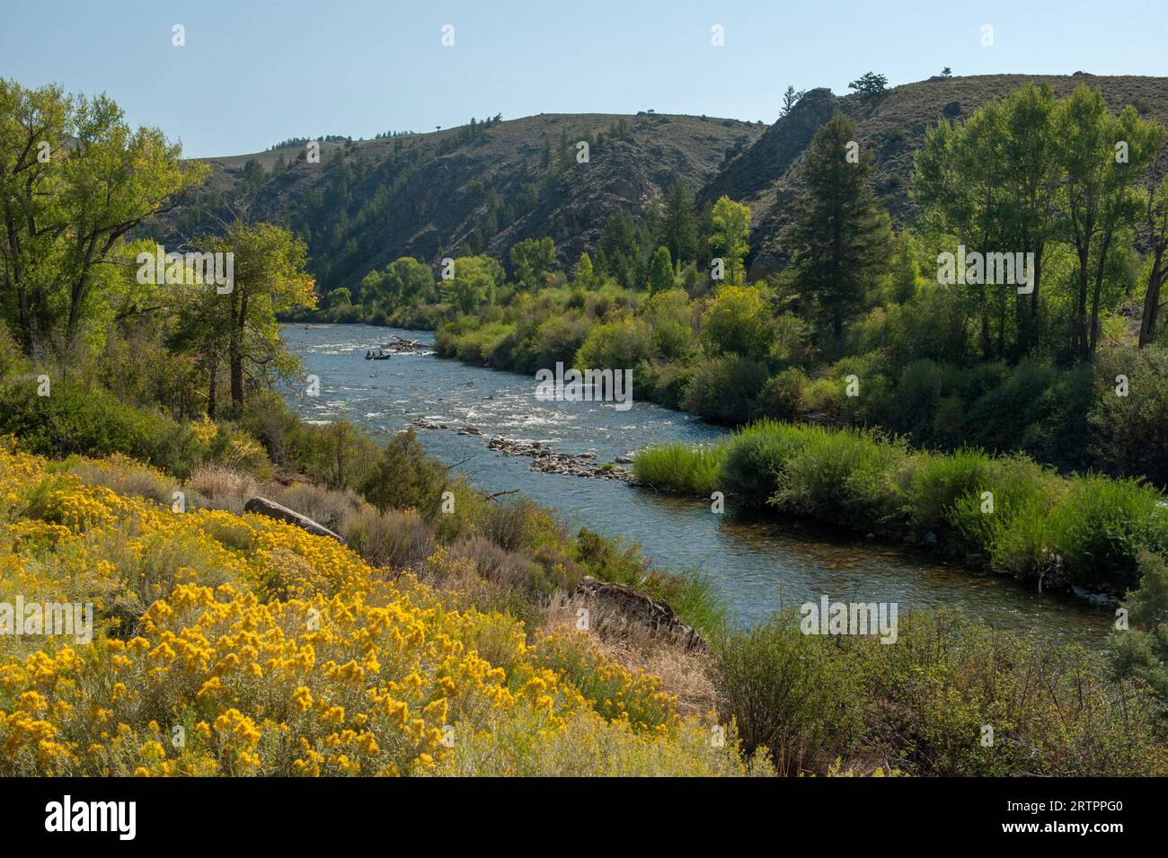 Fischer in einem Kanu auf dem Gunnison River, weniger als eine Meile von seiner Quelle entfernt. Stockfoto
