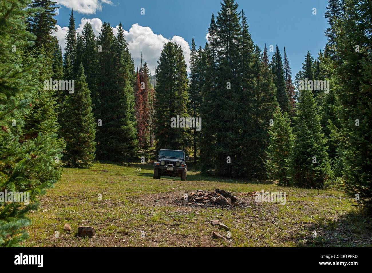 Ein abgeschiedener kleiner Campingplatz neben dem Slate Creek oberhalb von Crested Butte, Colorado Stockfoto
