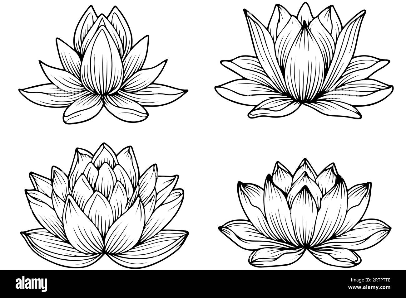 Eine Lotoslilie Wasserblume in einer Vintage Holzschnitt Gravur Stil Vektor Illustration. Stock Vektor