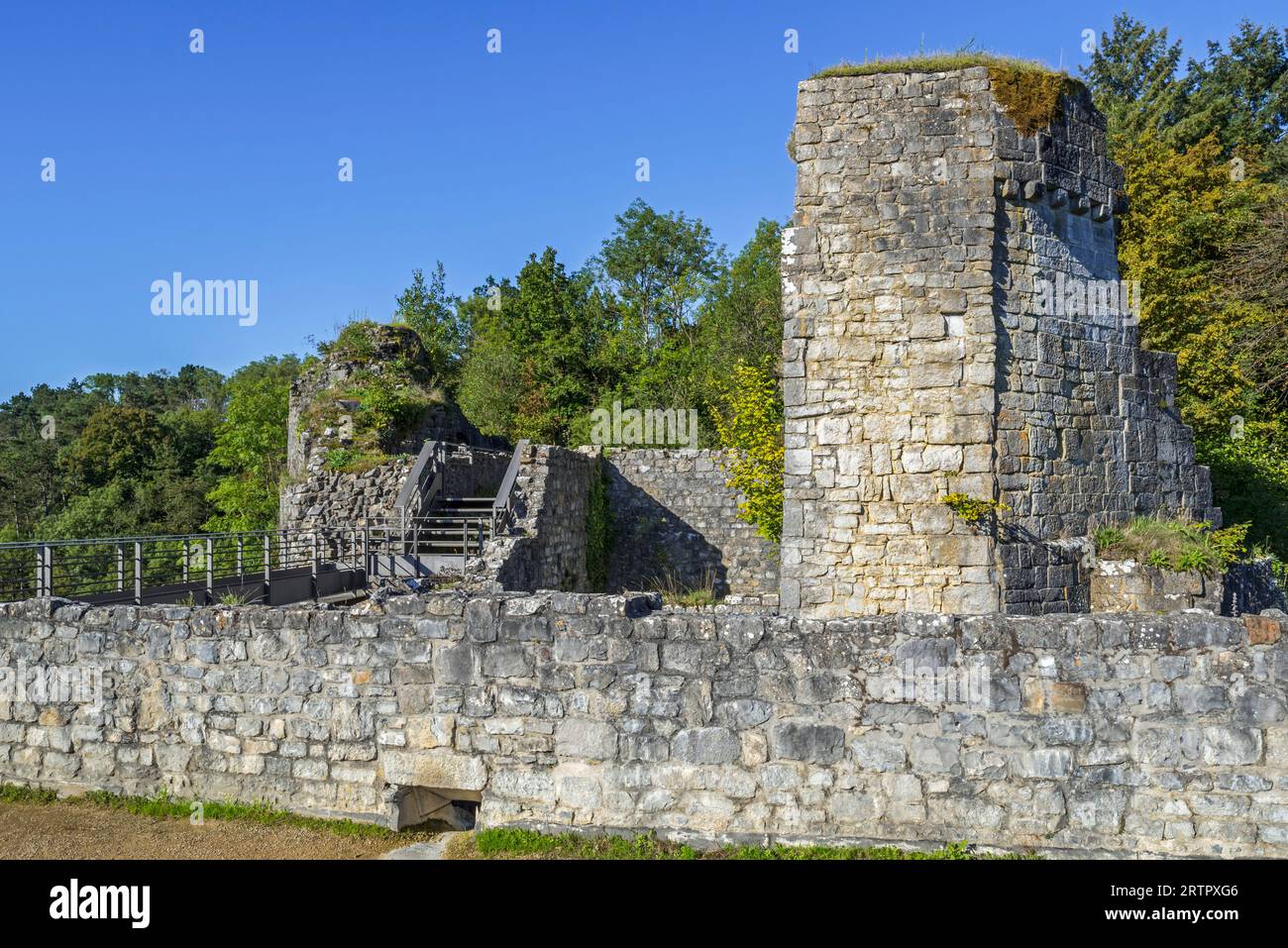 Château de Crèvecœur, Ruine der mittelalterlichen Burg aus dem 11. Jahrhundert in Bouvignes-sur-Meuse bei Dinant, Provinz Namur, Wallonien, Belgien Stockfoto