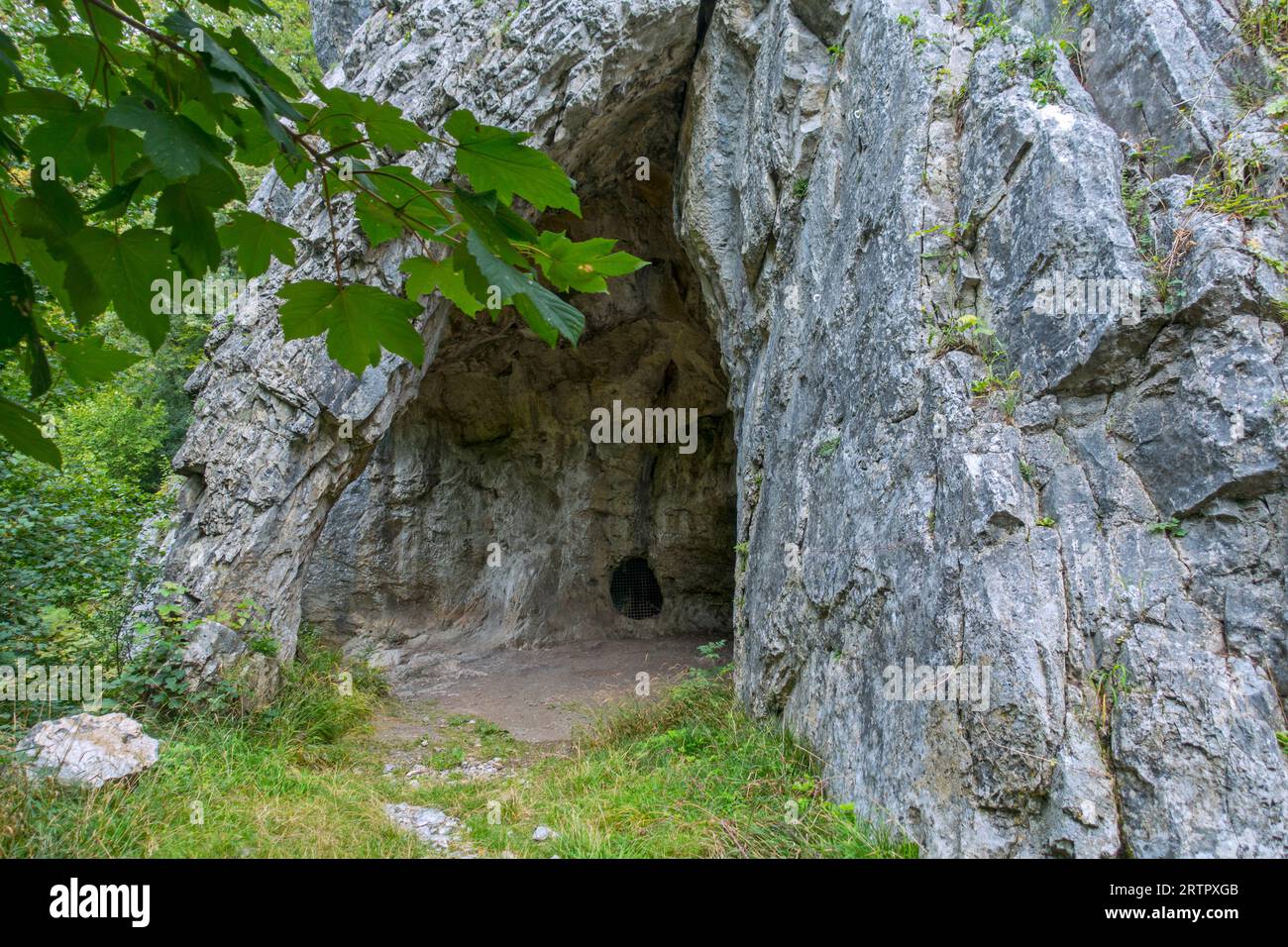 Grottes de Goyet bei Mozet, Gesves, Namur, Wallonien, Belgien. Die Neandertaler Besiedlung der Kalksteinhöhlen geht auf das Mittelpaläolithikum zurück Stockfoto