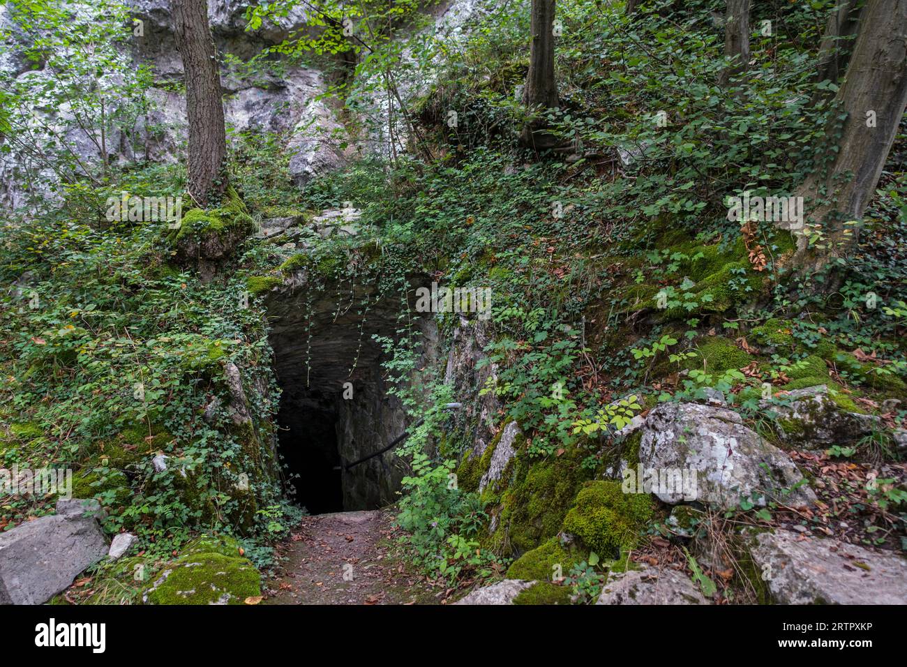 Grottes de Goyet bei Mozet, Gesves, Namur, Wallonien, Belgien. Die Neandertaler Besiedlung der Kalksteinhöhlen geht auf das Mittelpaläolithikum zurück Stockfoto