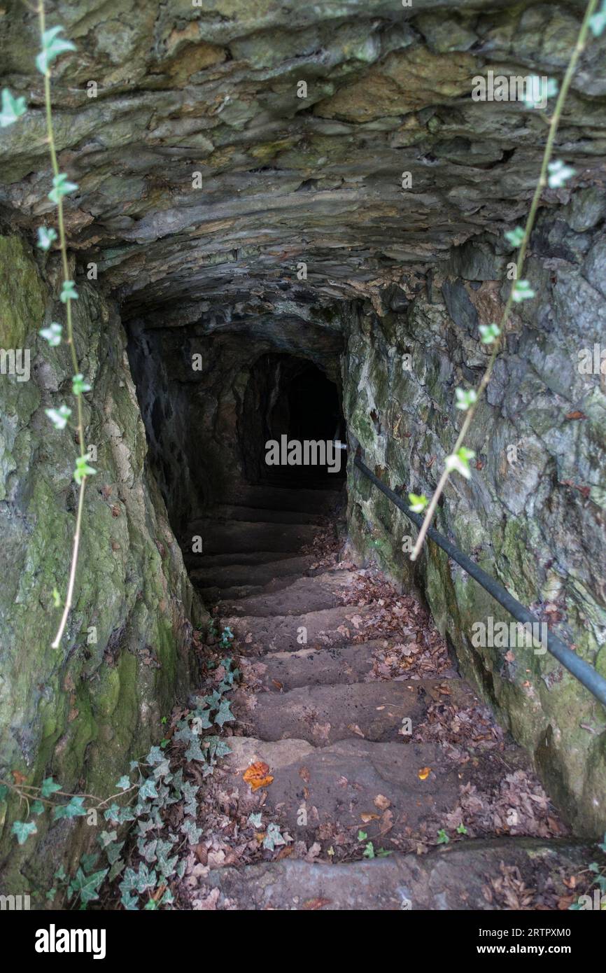 Grottes de Goyet bei Mozet, Gesves, Namur, Wallonien, Belgien. Die Neandertaler Besiedlung der Kalksteinhöhlen geht auf das Mittelpaläolithikum zurück Stockfoto