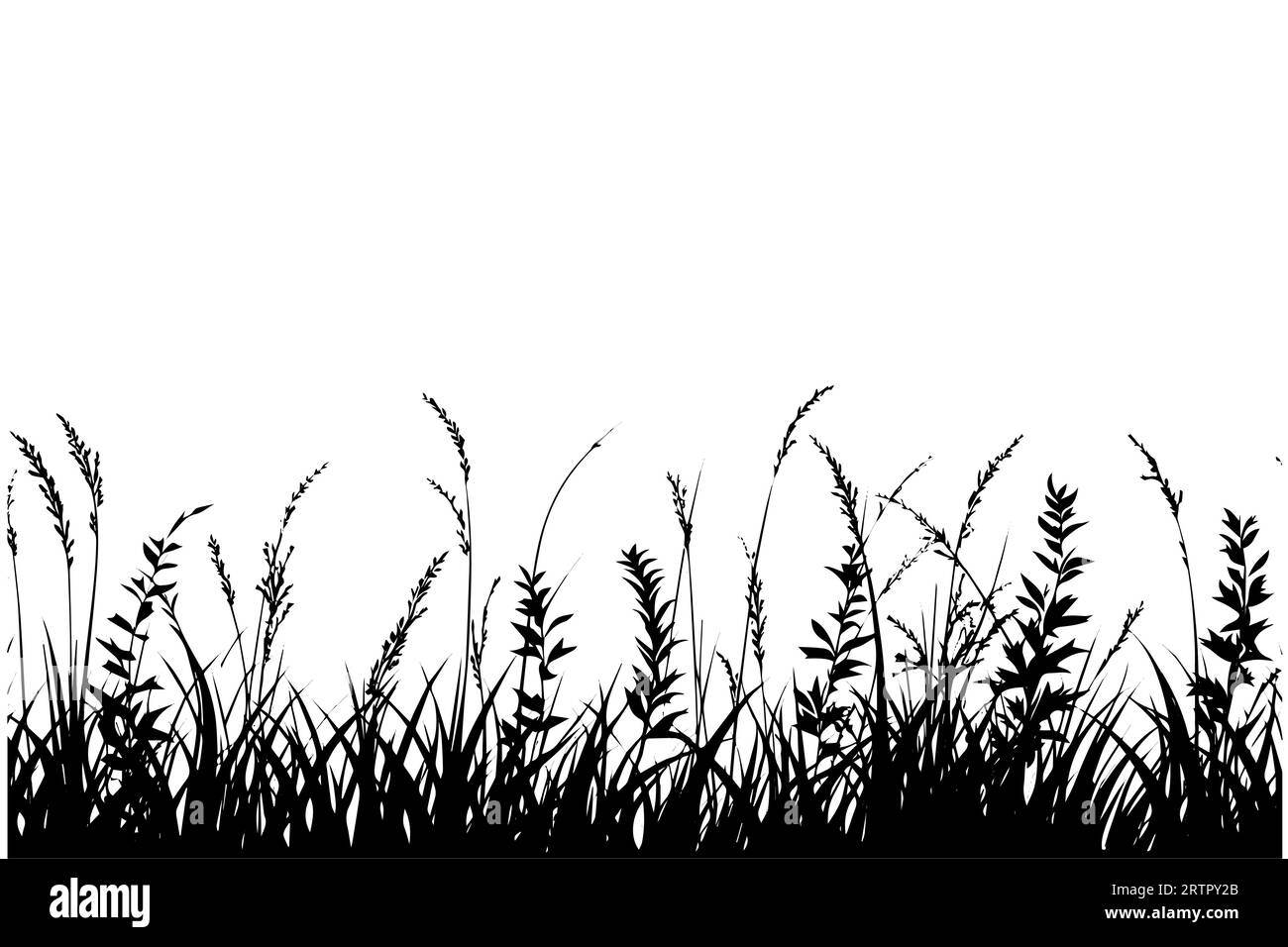 Abstrakter Hintergrund mit schwarzen Silhouetten von Wiesenwildkräutern und -Blumen. Vektorillustration. Stock Vektor