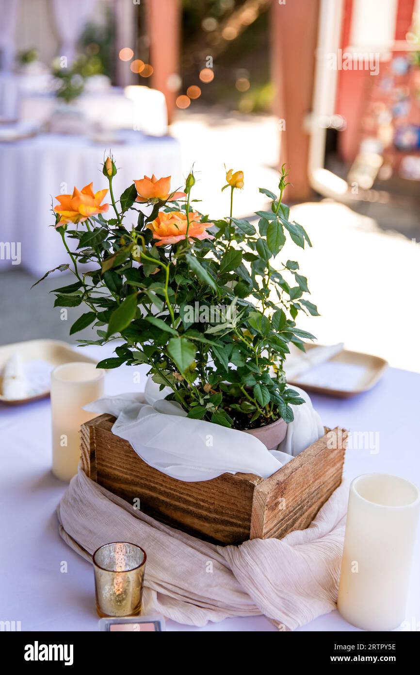 Herzstück Blumenarrangement Stockfoto