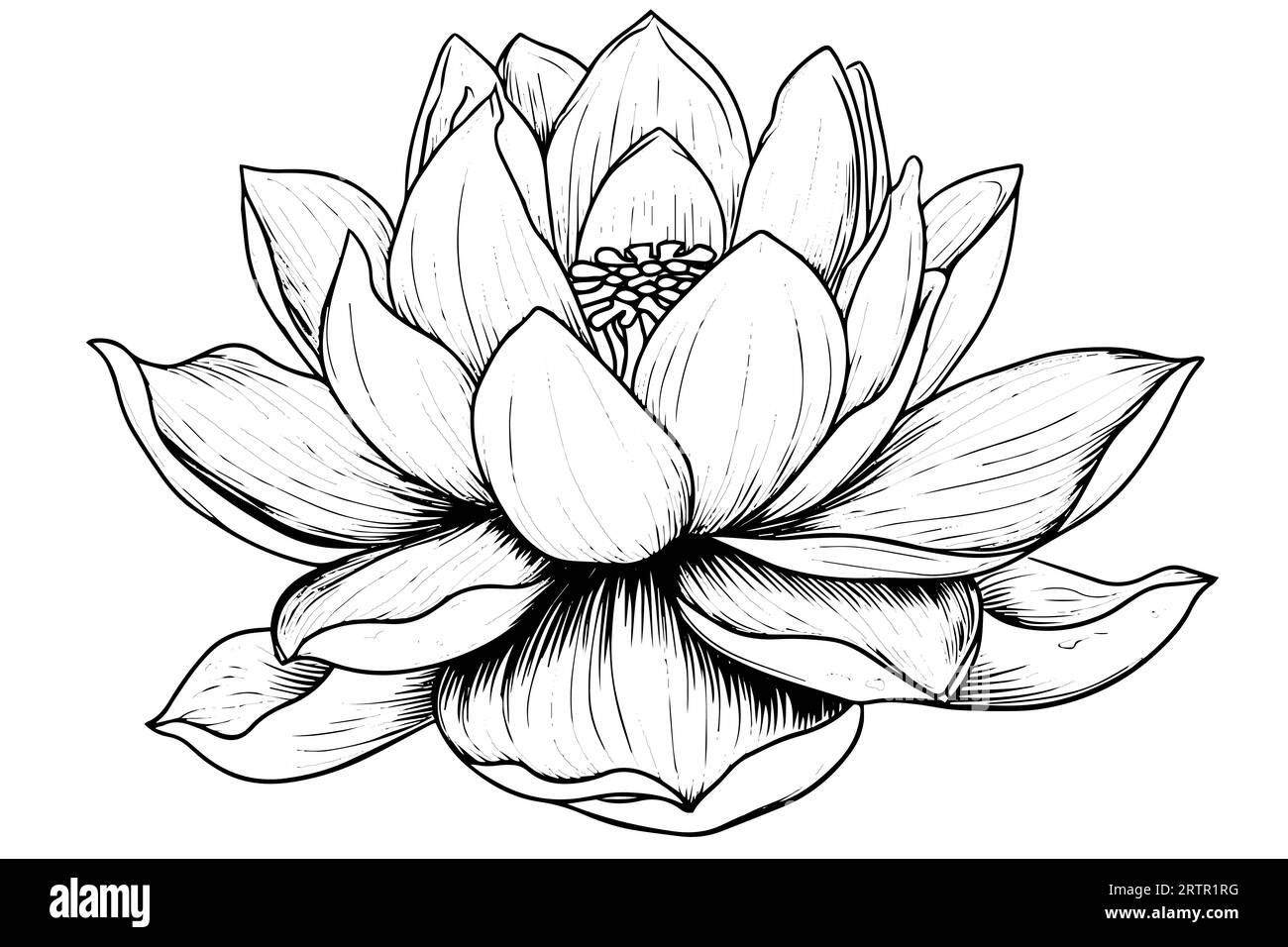 Eine Lotoslilie Wasserblume in einer Vintage Holzschnitt Gravur Stil Vektor Illustration. Stock Vektor