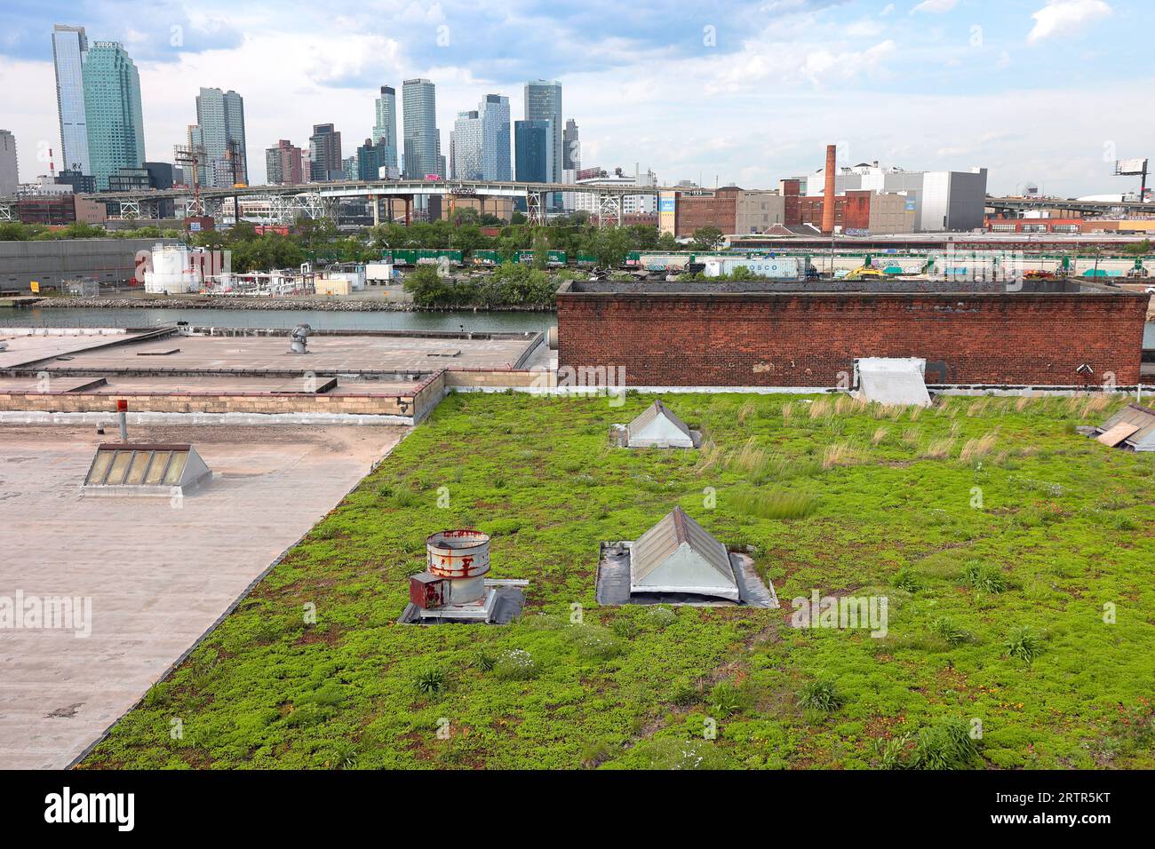 Ein grünes Dach auf einem Gebäude in Greenpoint, Brooklyn, mit Blick nach Norden in Richtung Long Island City. Begrünte Dächer tragen dazu bei, den Einfluss städtischer Wärmeinseln auf Städte zu reduzieren. Stockfoto