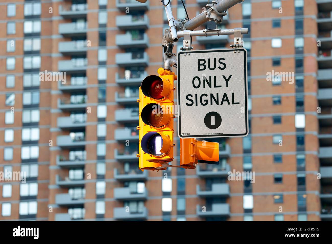 Ein nur-Bus-Signal an einer Kreuzung von New York City Midtown Manhattan. Die Bus-Prioritätsleuchte ermöglicht den Bussen ein paar Sekunden Vorsprung gegen den Verkehr. Stockfoto