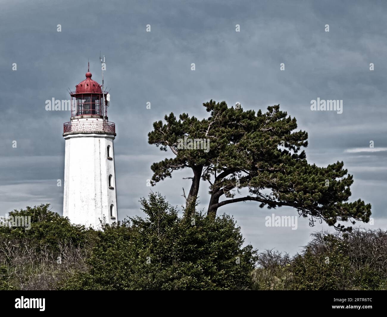 Leuchtturm Dornbusch auf der Insel Hiddensee, Deutschland Stockfoto