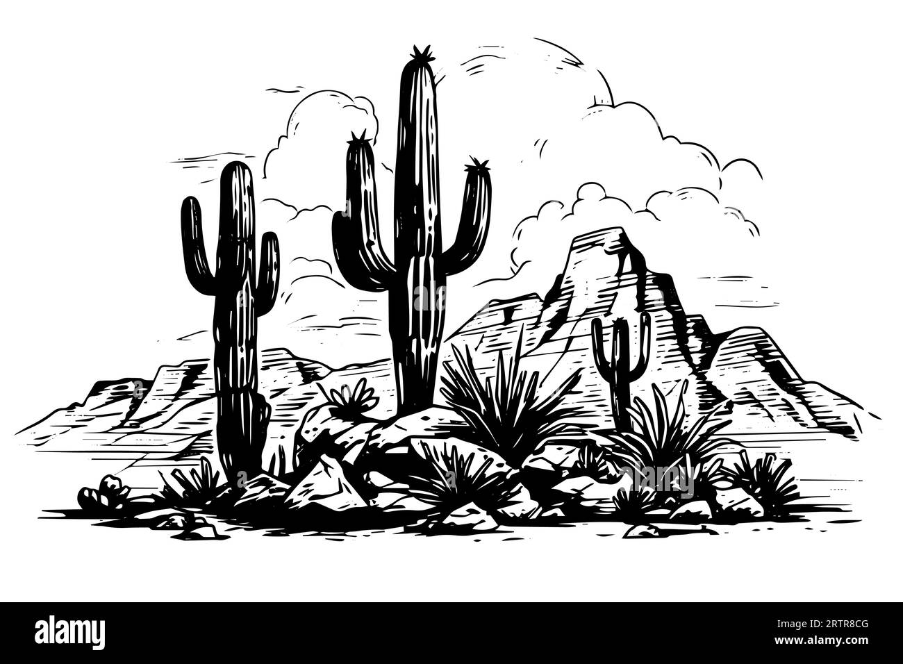 Landschaft mit Kaktus in Gravurstil Vektorillustration.Kaktus Hand gezeichnete Skizze Imitation. Stock Vektor