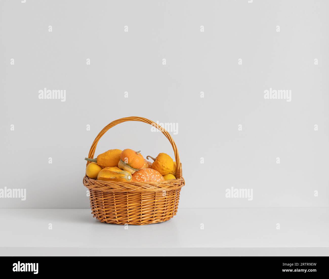 Schöne dekorative Kürbisse in einem Korb auf einem weißen Tisch. Herbst- oder Thanksgiving-Konzept. Herbstdekor. Herbsternte mit Kopierraum. Stockfoto