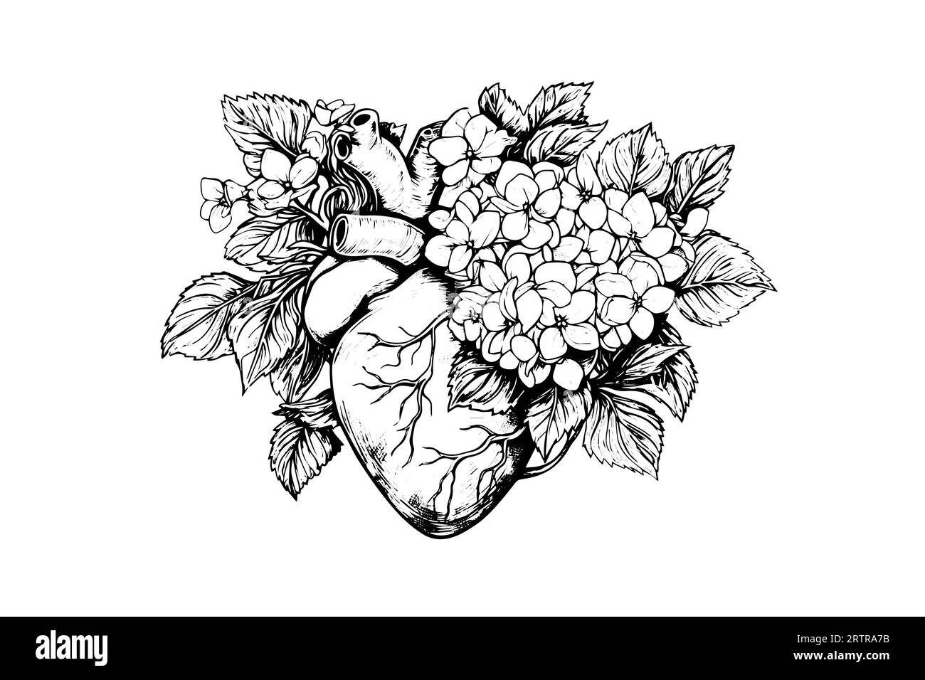 Valentinstag Karte Vintage Illustration. Florales anatomisches Herz. Vektorillustration. Stock Vektor