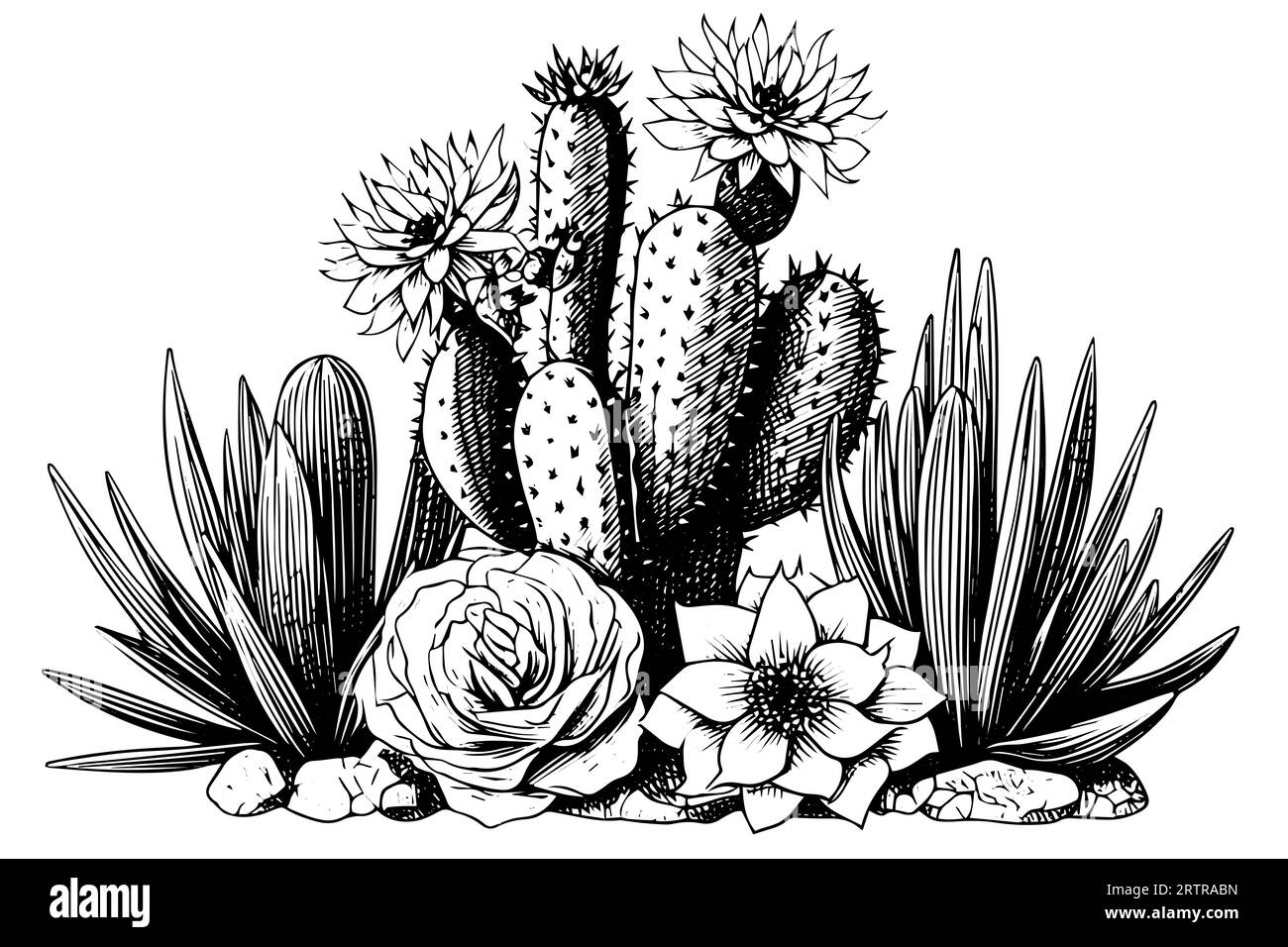 Set von Kakteen in Gravurstil Vektor-Illustration.Kakteen Hand gezeichnete Skizze Imitation. Stock Vektor
