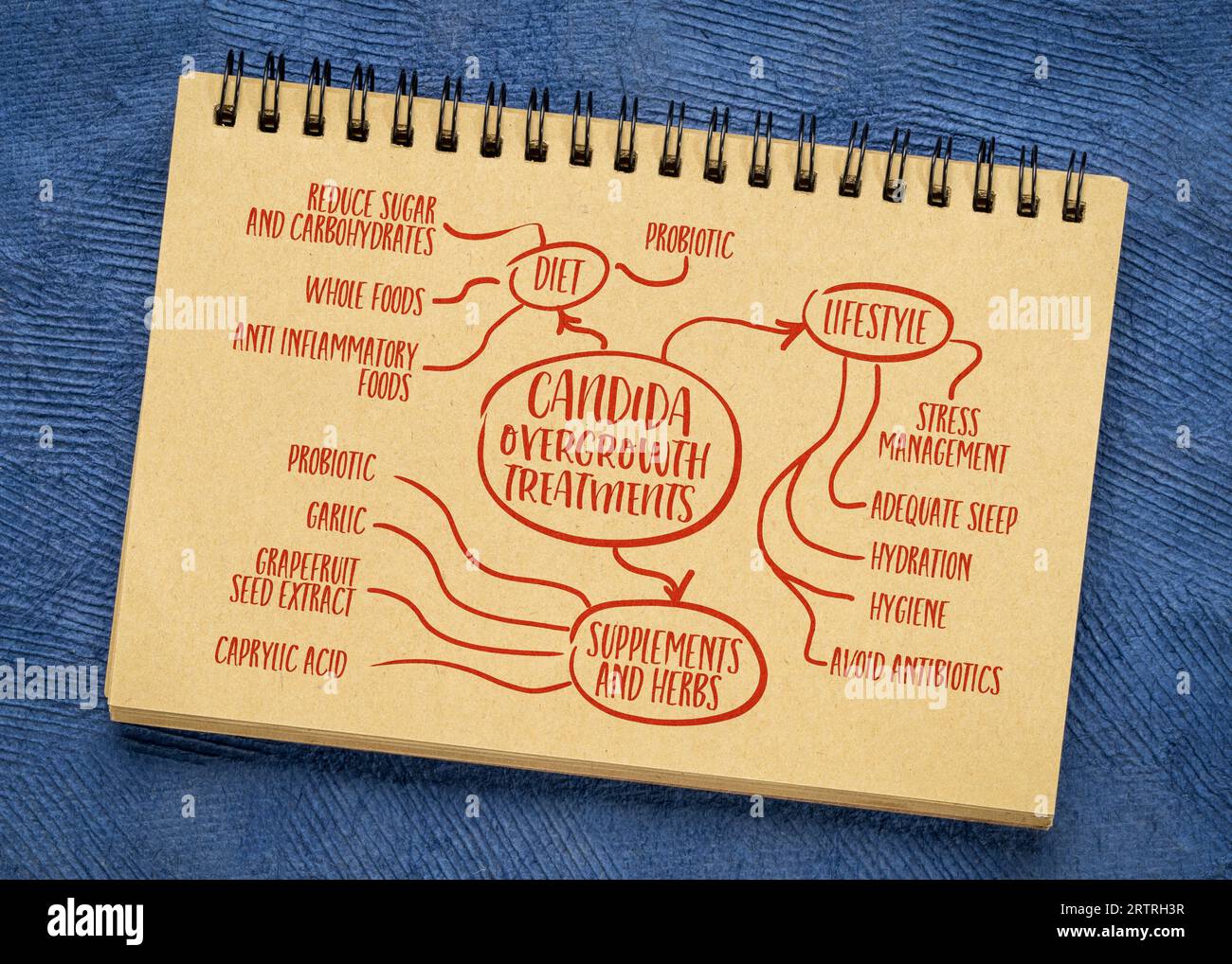 candida-Überwuchsbehandlung - Infografiken oder Mindmap-Skizze auf einem Notebook - Wellness- und Gesundheitskonzept Stockfoto