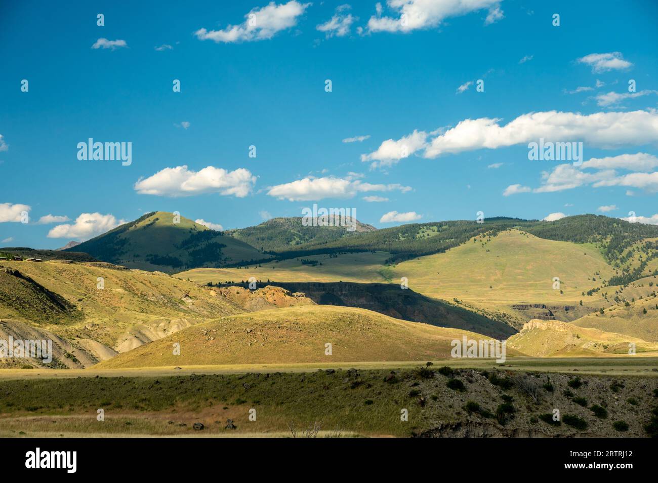 Hills Layer in den Bergen rund um den Rescue Creek Trail in Yellowstone Stockfoto