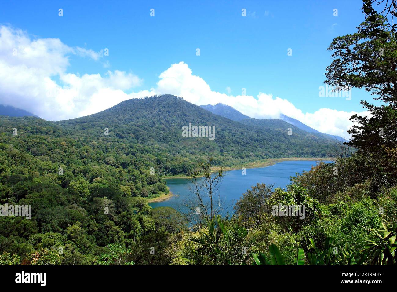 Urwälder und Berge am Lake Tamblingan, Bali, Indonesien Stockfoto