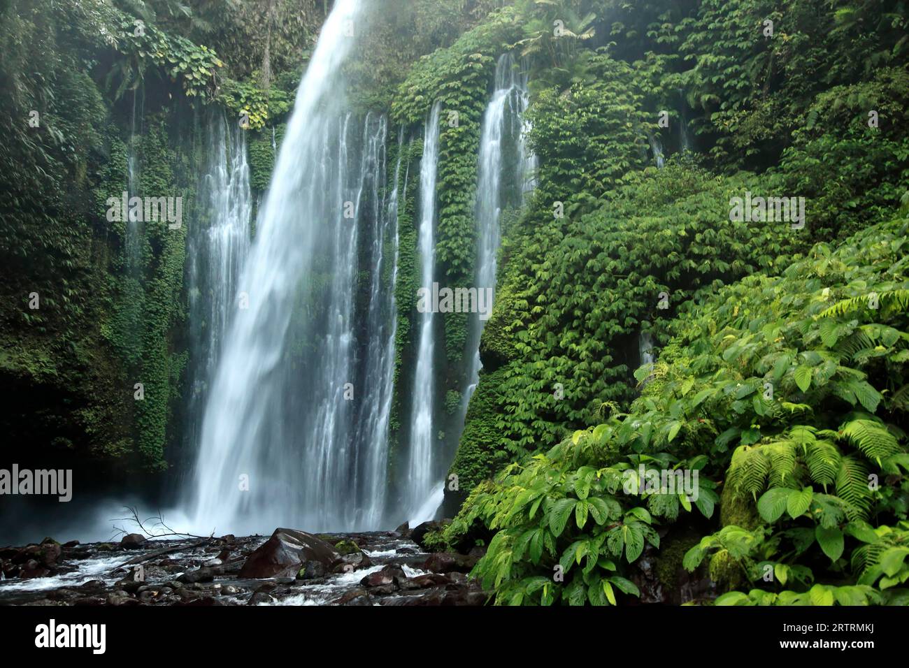 Wasserfall im Dschungel, Senaru, Lombok, Indonesien Stockfoto