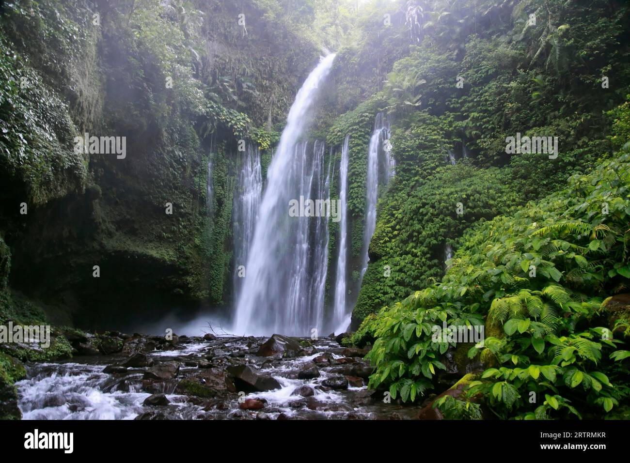 Wasserfall im Dschungel, Senaru, Lombok, Indonesien Stockfoto