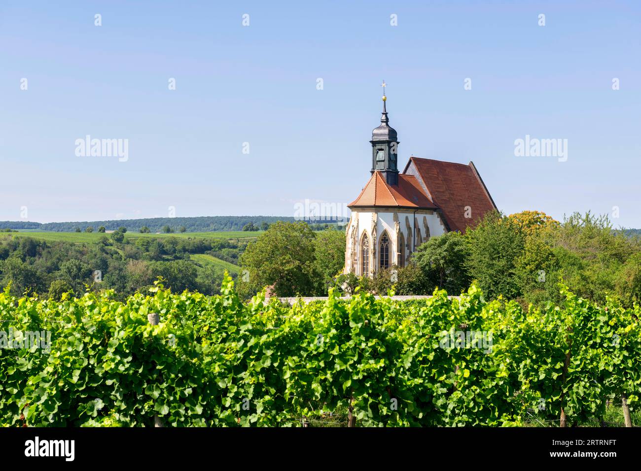 Wallfahrtskirche Maria im Weingarten, bei Volkach am Main, Unterfranken, Mainfranken, Bayern, Deutschland Stockfoto