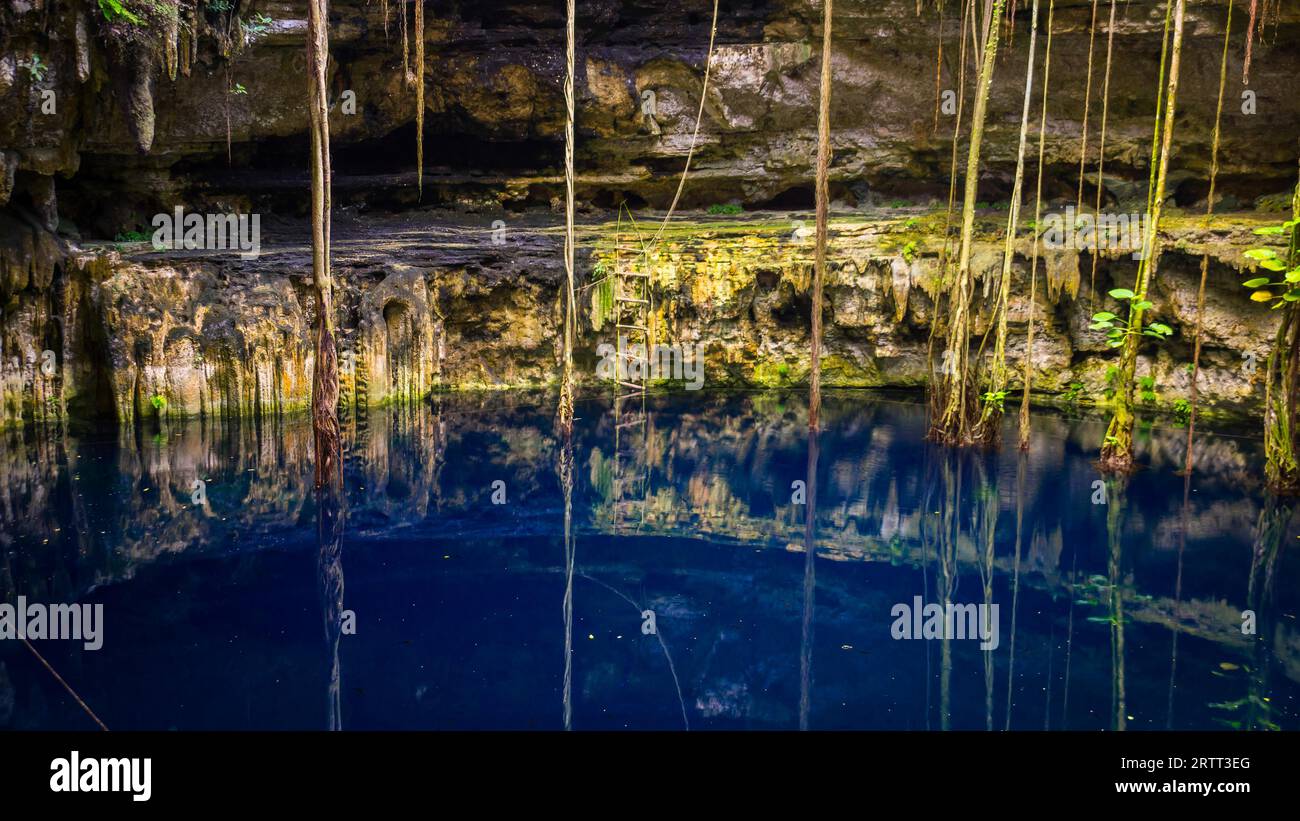 Cenote San Lorenzo in der Nähe von Valladolid, Mexiko Oxman. eine schöne Cenote mit tief türkisfarbenem Wasser Stockfoto