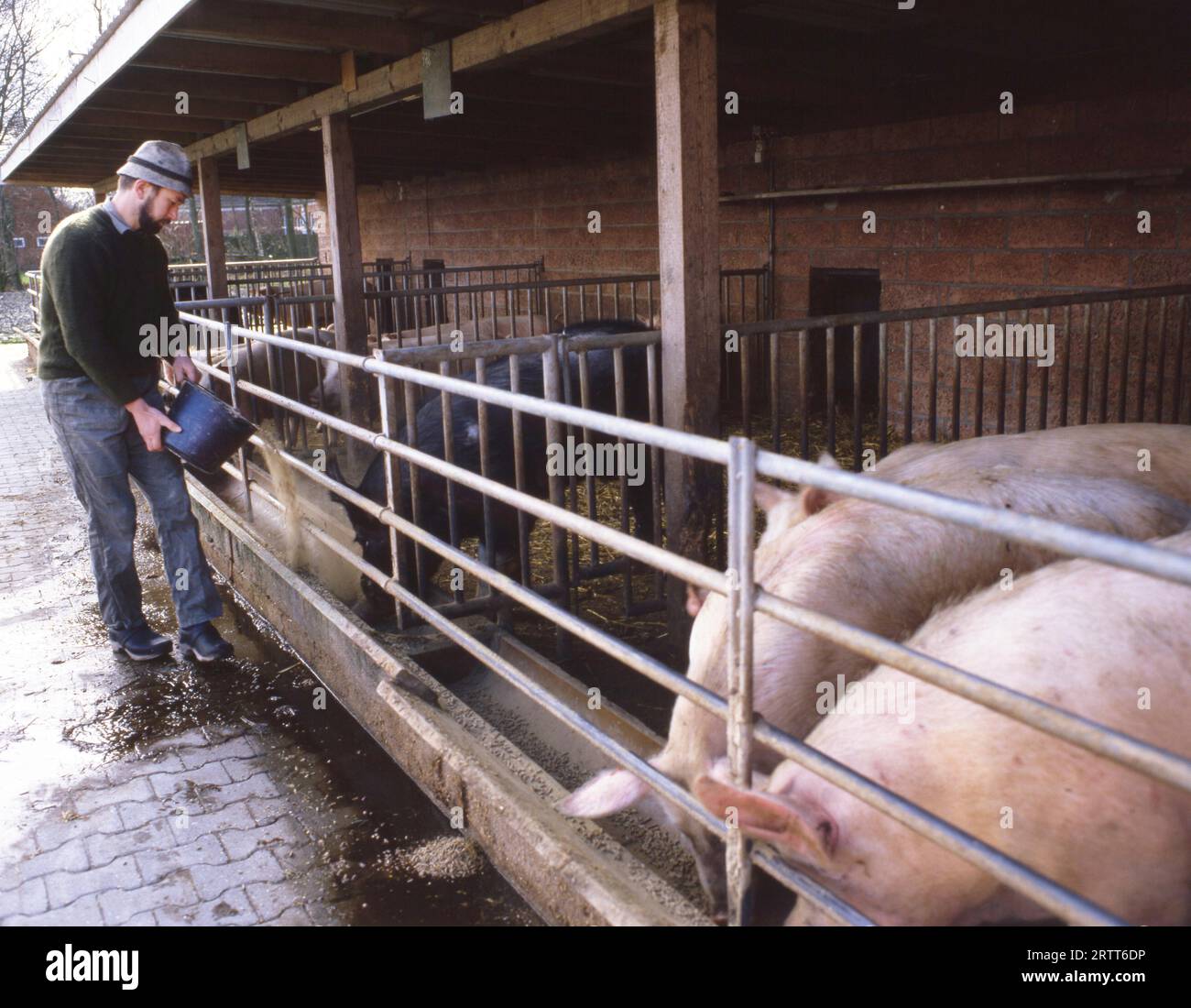 DEU, Deutschland: Die historischen Rutschen aus der Zeit 80-90, Sauerland. Landwirtschaft. 80s.HERR ja! Stockfoto