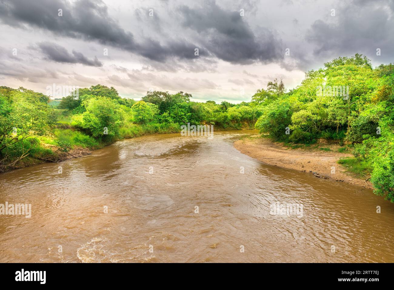 Wasserlauf auf braunen Fluss in grüner Naturlandschaft Stockfoto