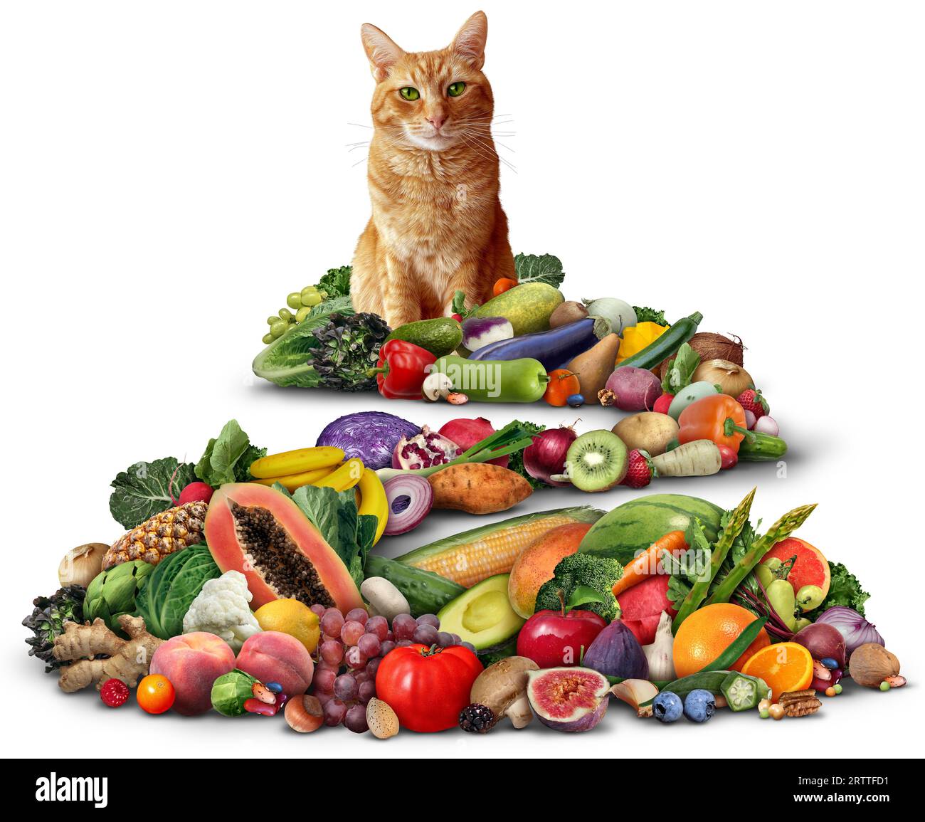 Vegetarische Katzenernährung und Feline Vegane Ernährung und gesundheitliche Vorteile von Katzen, die Obst und Gemüse für pflanzliche Ernährung als grüne Alternative Mahlzeit f essen Stockfoto