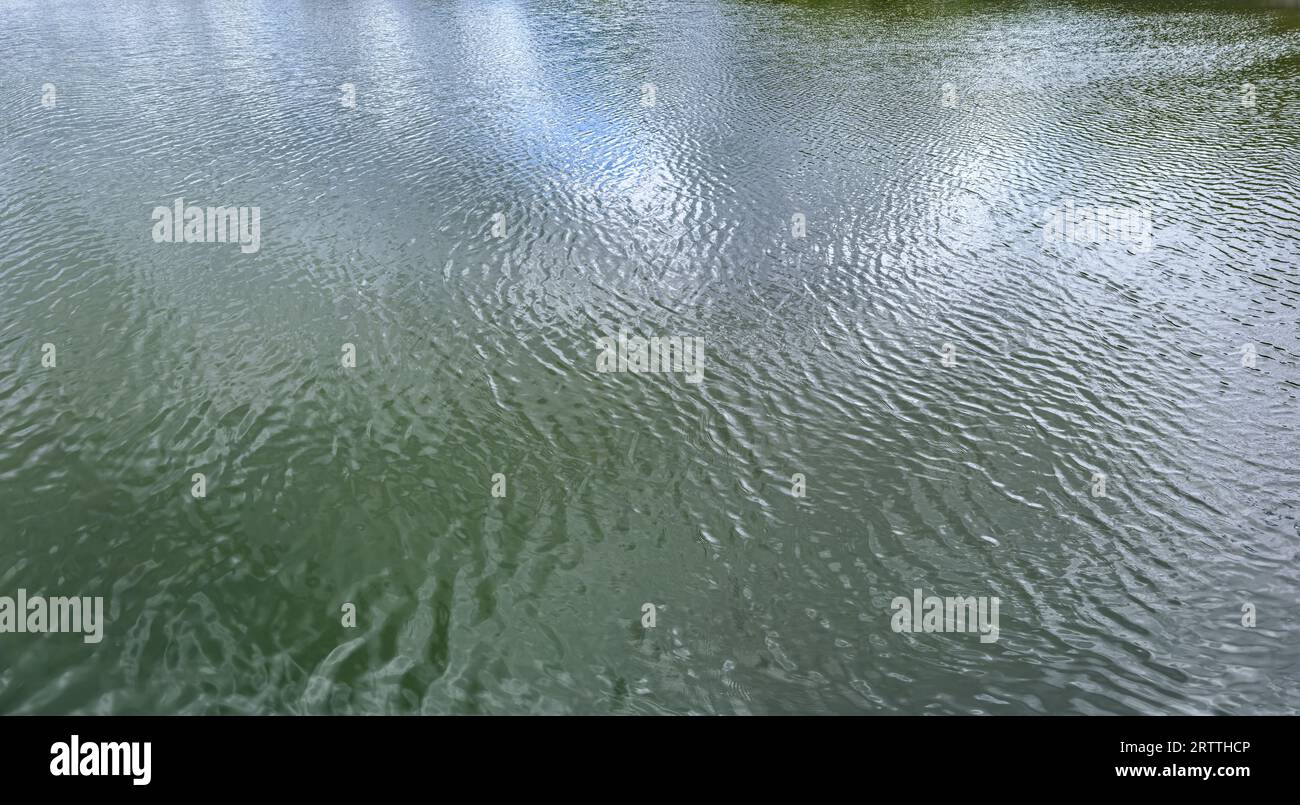 Wasser mit ruhigen Wellen und Reflexionen des Sommerhimmels in der Wasseroberfläche. Natürlicher Hintergrund. Stockfoto