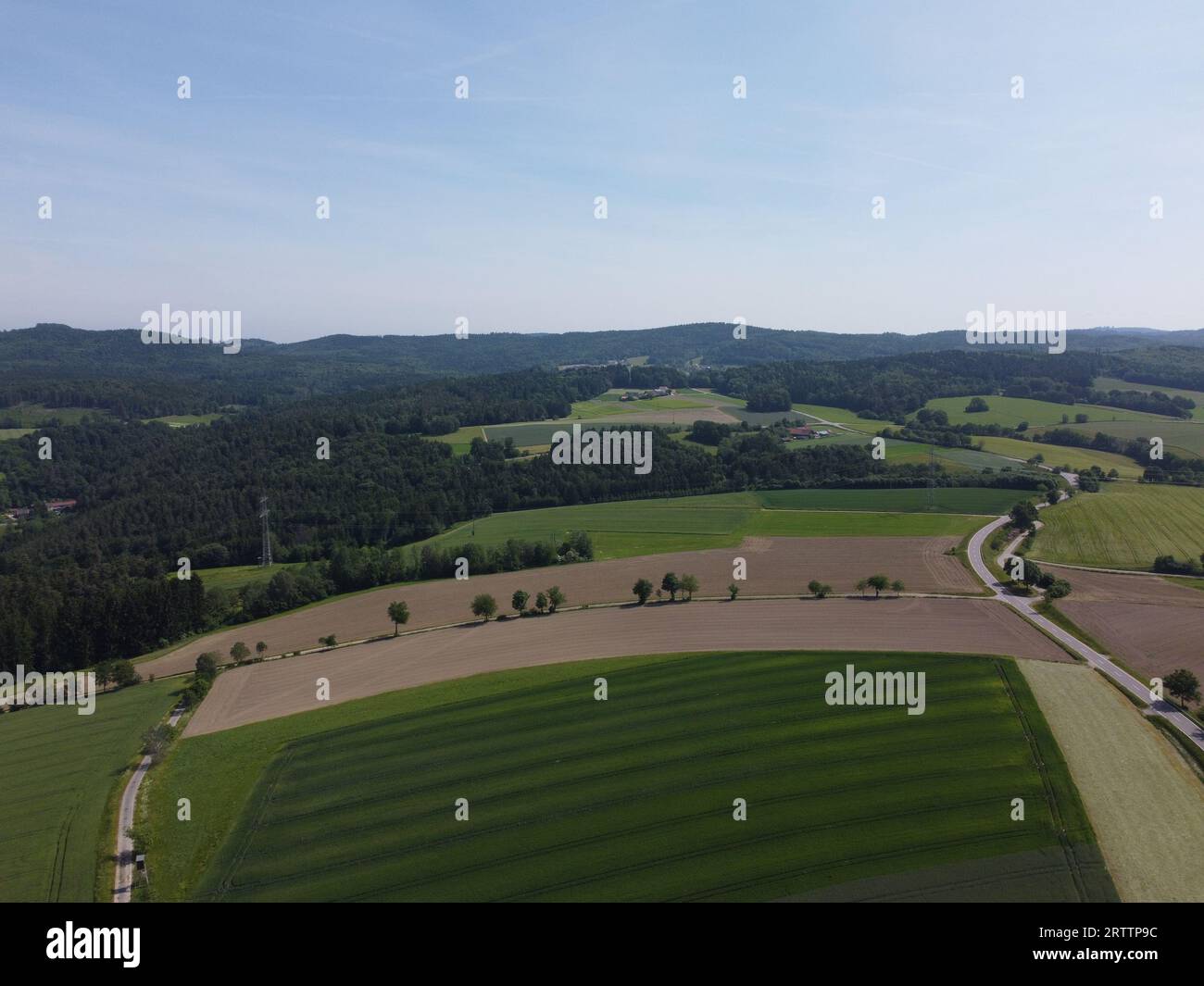 Luftaufnahme der Straße durch den grünen Wald. Drohnenfotografie Stockfoto