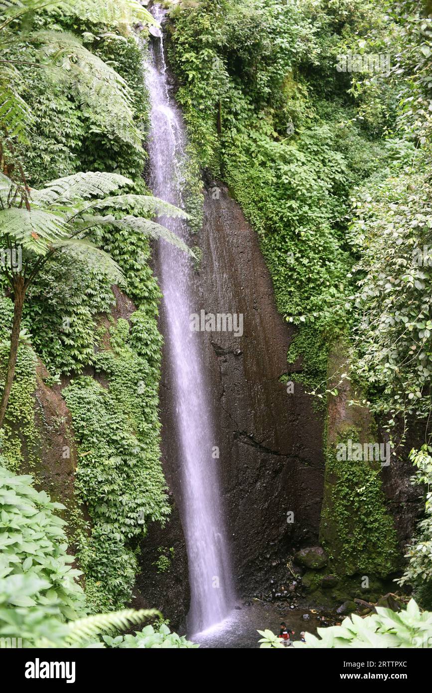 Blick auf einen Wasserfall am Fuße des Mount Salak in Bogor, West Java, Indonesien. Wissenschaftler können den Klang und das Aussehen eines Wasserfalls nutzen, um Veränderungen in seinem Fluss zu verfolgen, während menschliche Eingriffe und der Klimawandel den Wasserspiegel beeinflussen, so ein artikel aus dem Jahr 2021, der von der American Geophysical Union veröffentlicht wurde und über ScienceDaily zugänglich ist. Das Wasser der Wasserfälle ist wertvoll für Wasserkraft, Bewässerung und zur Unterstützung von Flusslebensräumen. "Das Aussehen des Wasserfalls und die Akustik sind außerdem wichtige Aspekte für Erholung und Tourismus", schrieb ich Schalko und R. M. Boes in ihrer Arbeit, die als Referenz diente,... Stockfoto