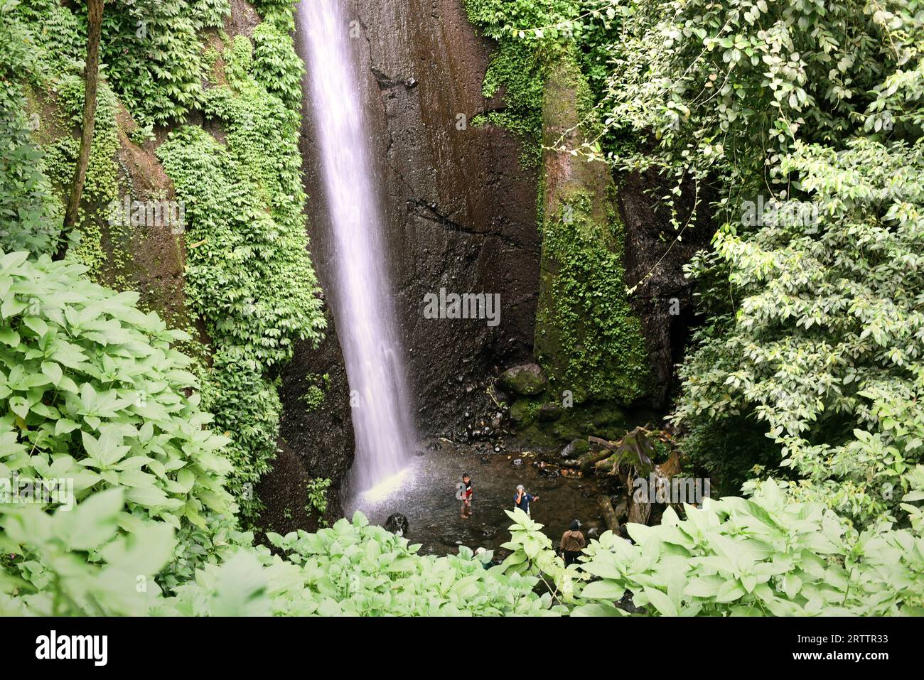 Blick auf einen Wasserfall am Fuße des Mount Salak in Bogor, West Java, Indonesien. Wissenschaftler können den Klang und das Aussehen eines Wasserfalls nutzen, um Veränderungen in seinem Fluss zu verfolgen, während menschliche Eingriffe und der Klimawandel den Wasserspiegel beeinflussen, so ein artikel aus dem Jahr 2021, der von der American Geophysical Union veröffentlicht wurde und über ScienceDaily zugänglich ist. Das Wasser der Wasserfälle ist wertvoll für Wasserkraft, Bewässerung und zur Unterstützung von Flusslebensräumen. "Das Aussehen des Wasserfalls und die Akustik sind außerdem wichtige Aspekte für Erholung und Tourismus", schrieb ich Schalko und R. M. Boes in ihrer Arbeit, die als Referenz diente,... Stockfoto