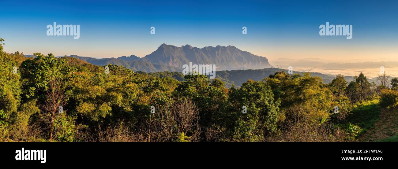 Tropischer Wald Natur Landschaft Blick mit Bergkette bei Doi Chiang Dao, Chiang Mai Thailand Panorama Stockfoto
